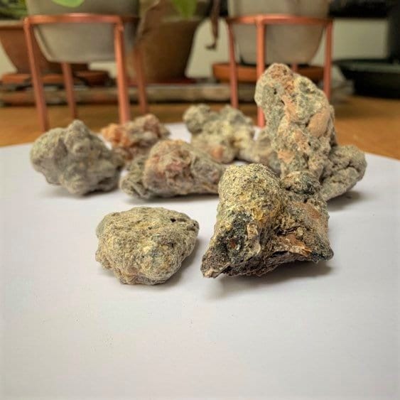 Kenyan 'Dakara' Frankincense - Boswellia neglecta