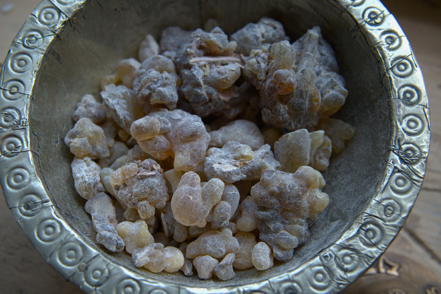 New Species Frankincense - 'Dark' Boswellia occulta