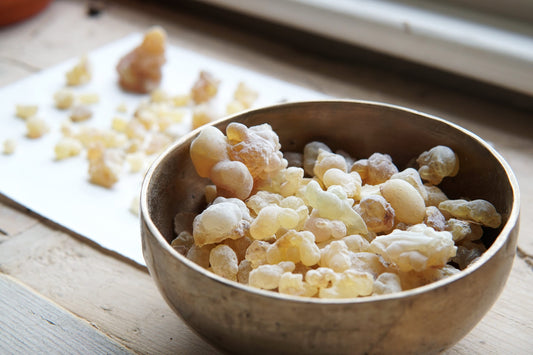 Rare Hybrid Frankincense - Boswellia carterii x sacra