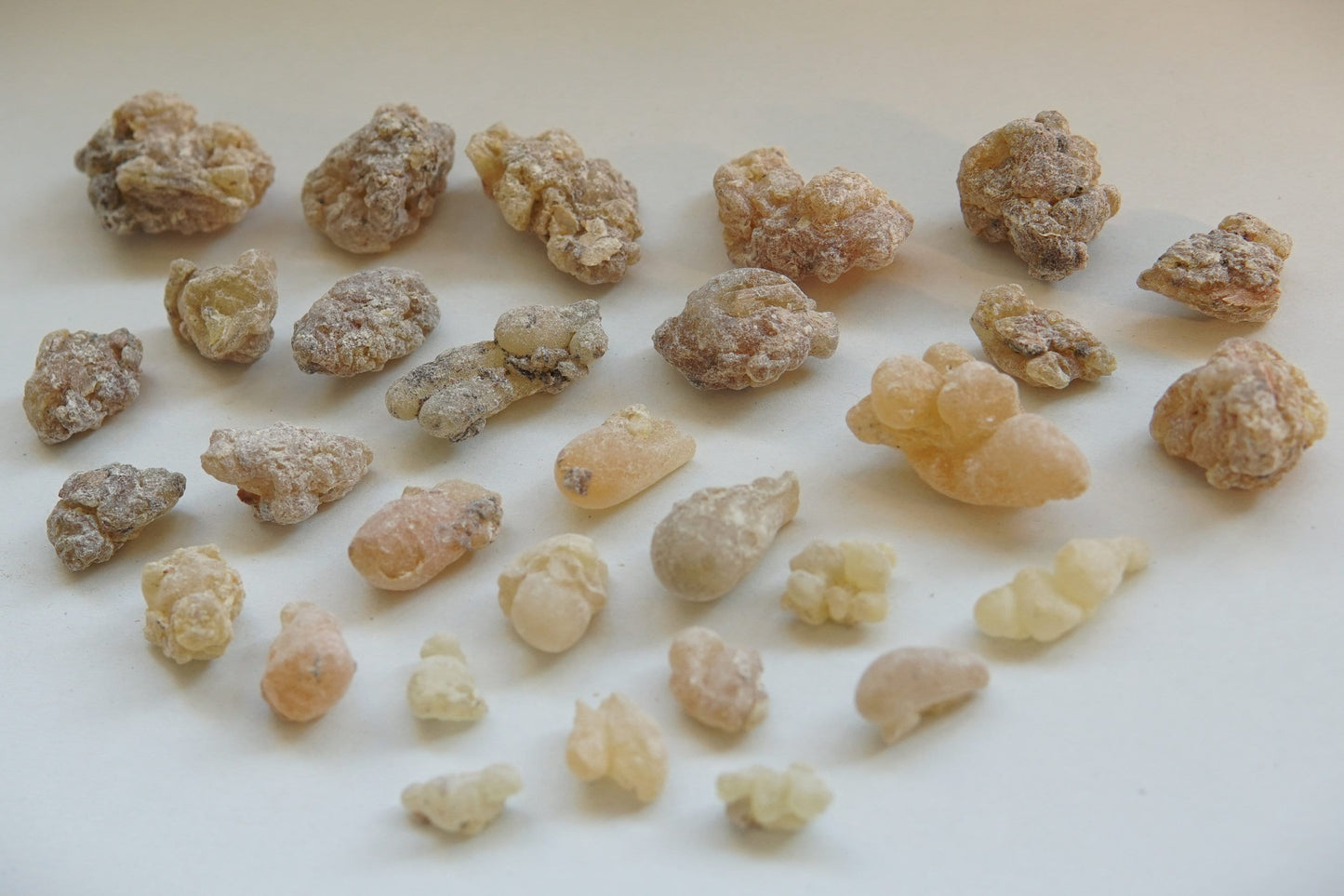 Indian Frankincense - Boswellia serrata - Grade 2