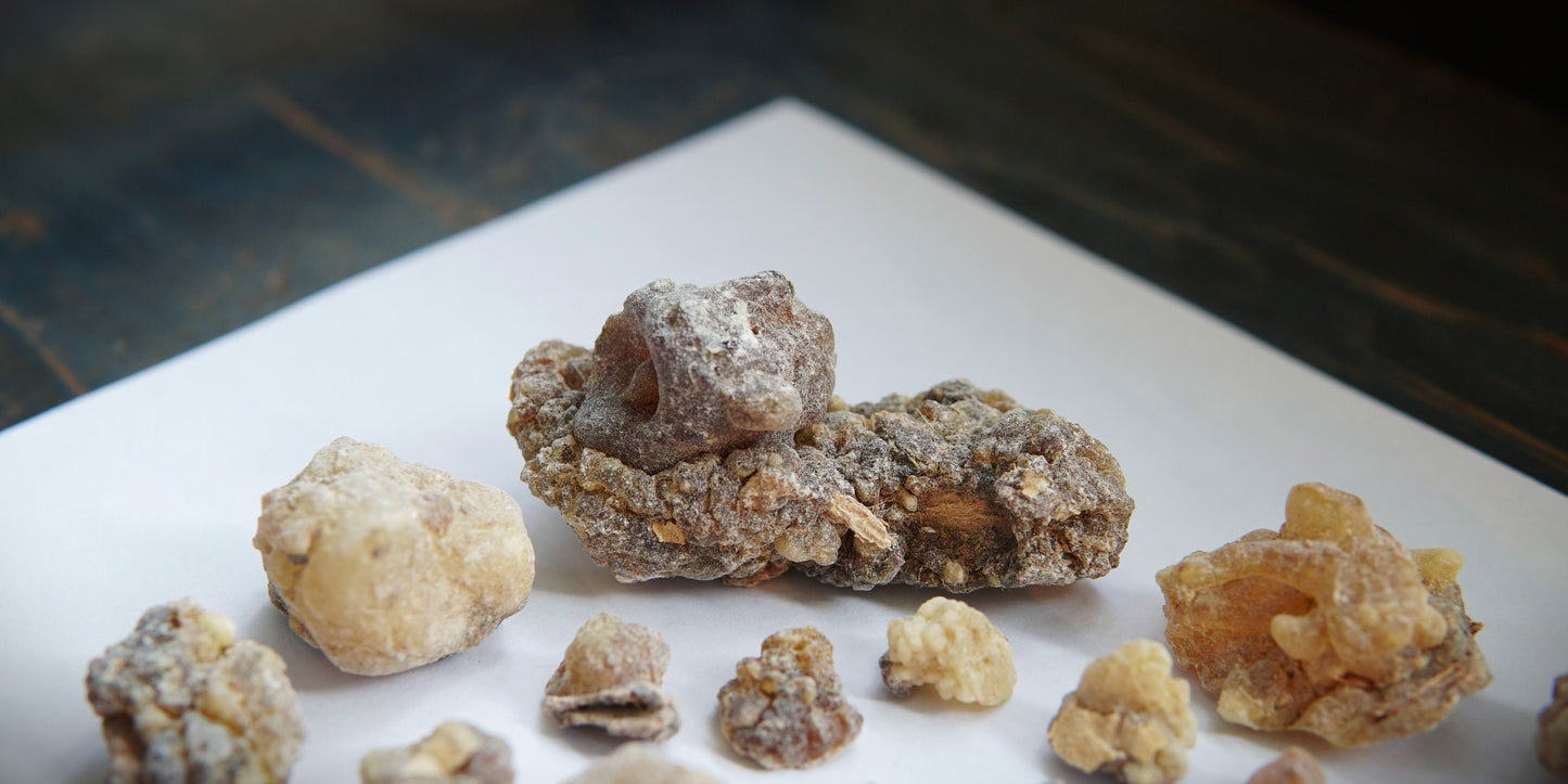 Newly Discovered Frankincense from Pakistan