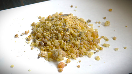 Mastic Incense Resin - Pistacia lentiscus - Small Pieces - For Burning