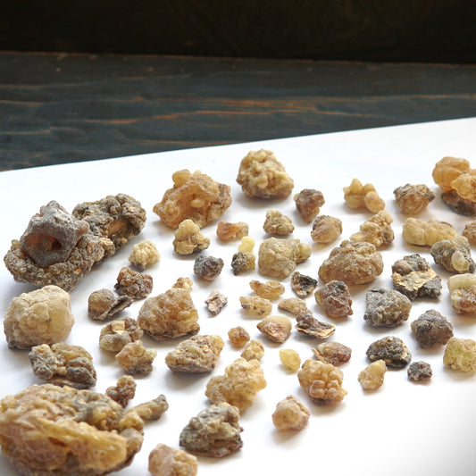 Newly Discovered Frankincense from Pakistan