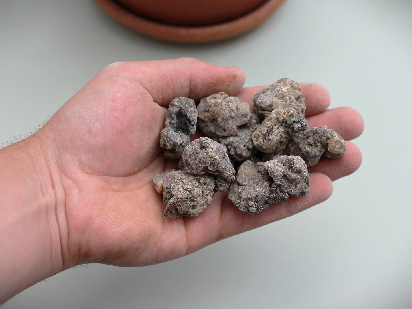 Siberian 'Cedar' Resin - Pinus sibirica