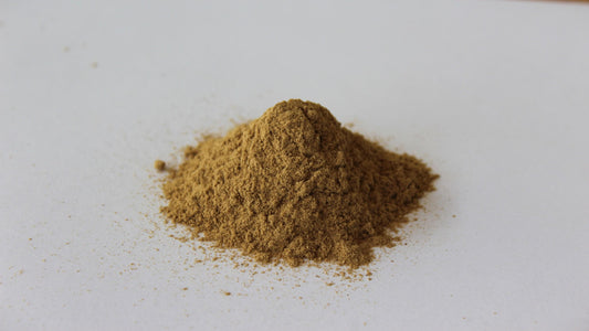 OUD INCENSE POWDER - Vietnamese Oud - Aqualaria crassna