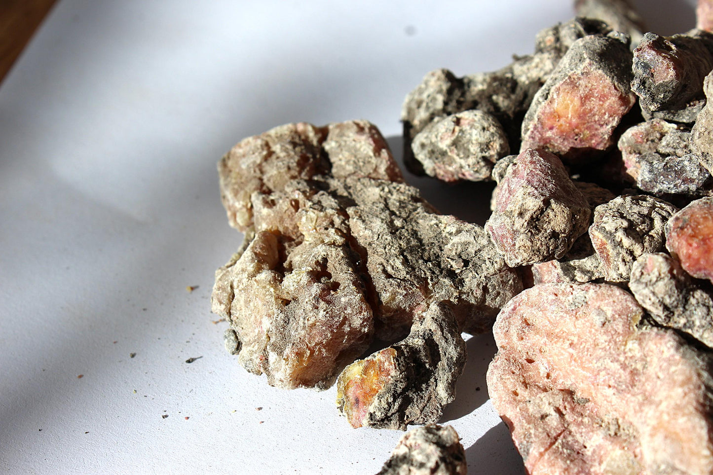 Estonian Spruce Resin - Picea abies