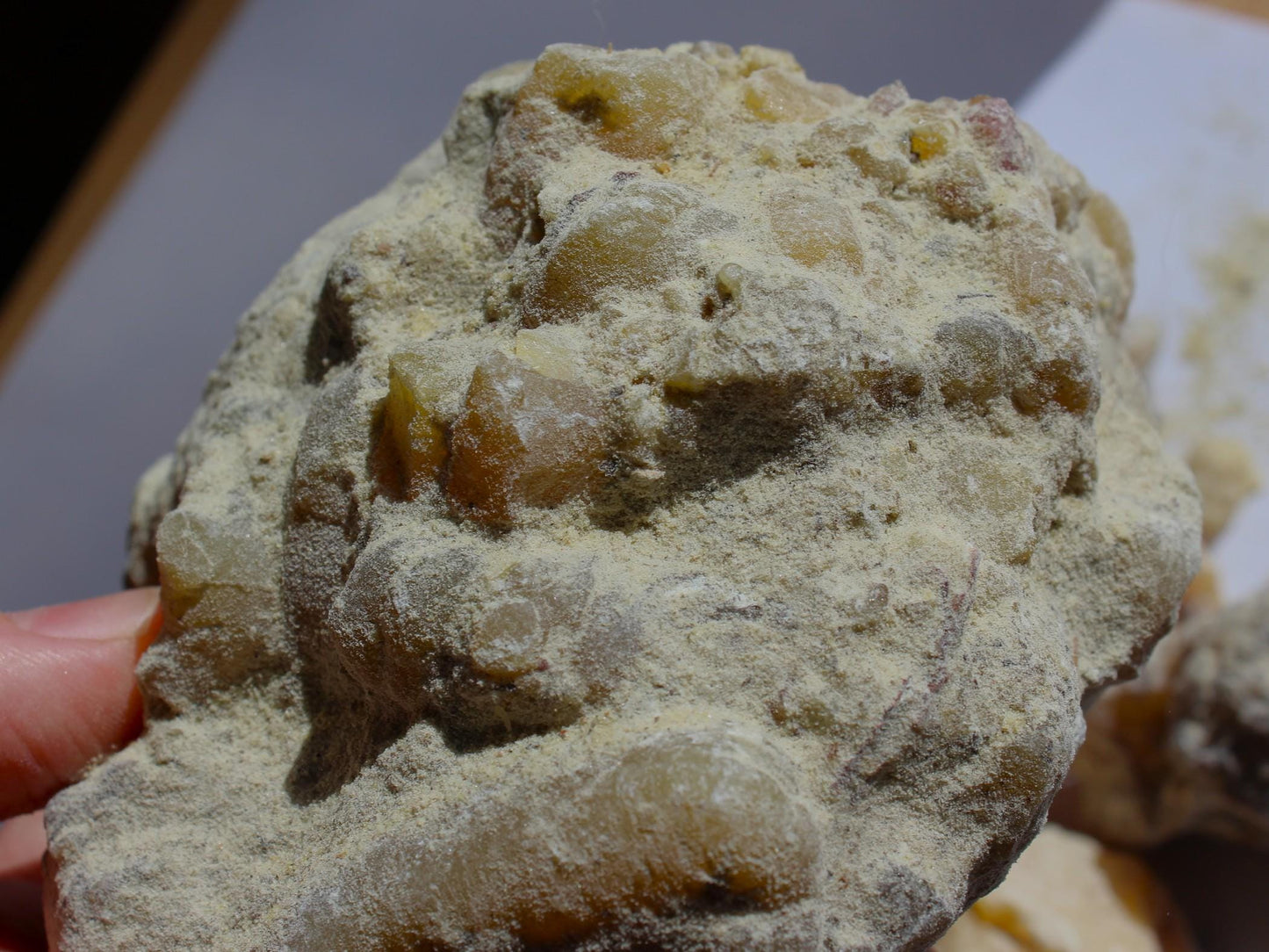 Ocote Copal - Montezuma Pine Resin - Pinus moctezumae