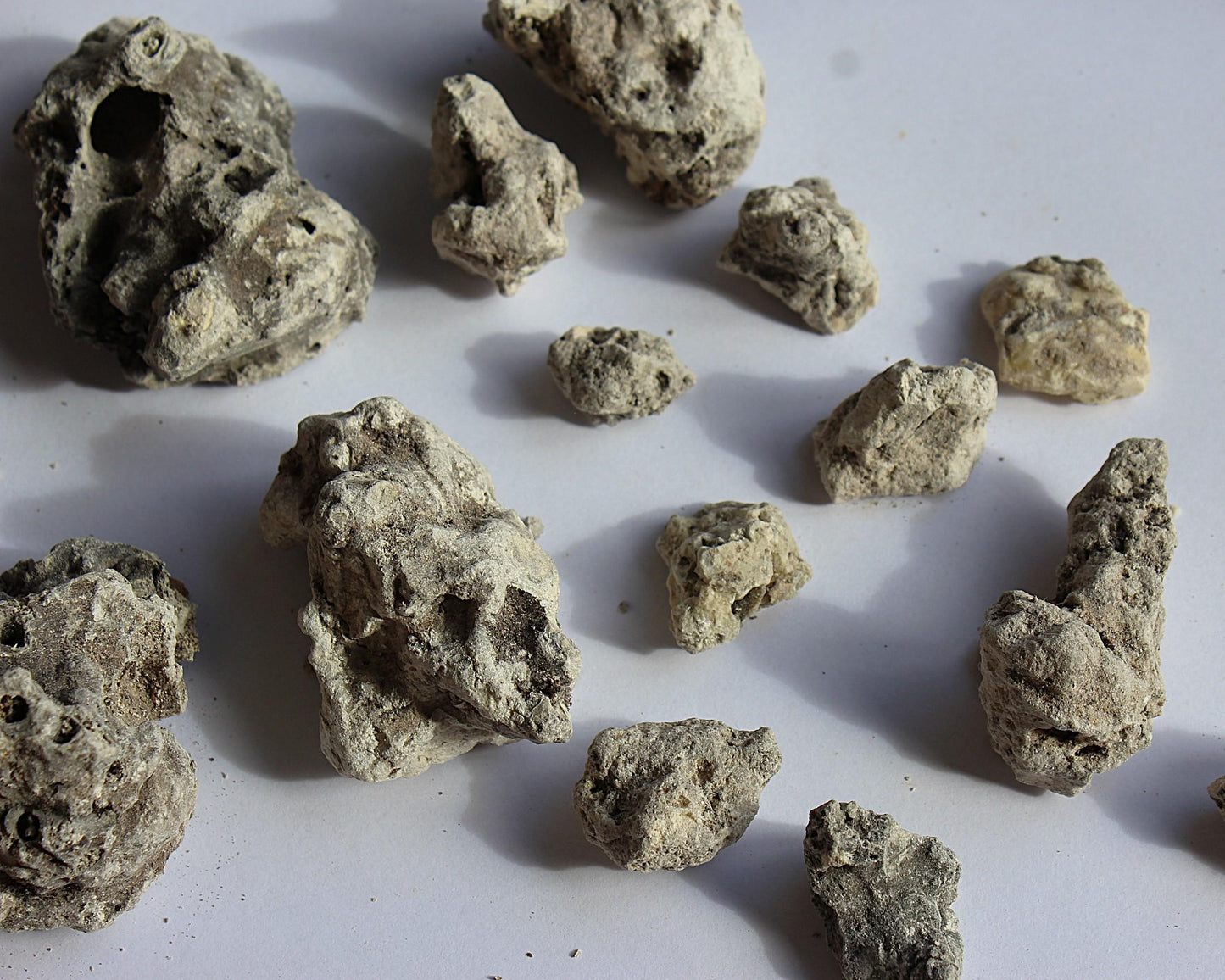 Copal Amazonicum - Incense resin from Peru