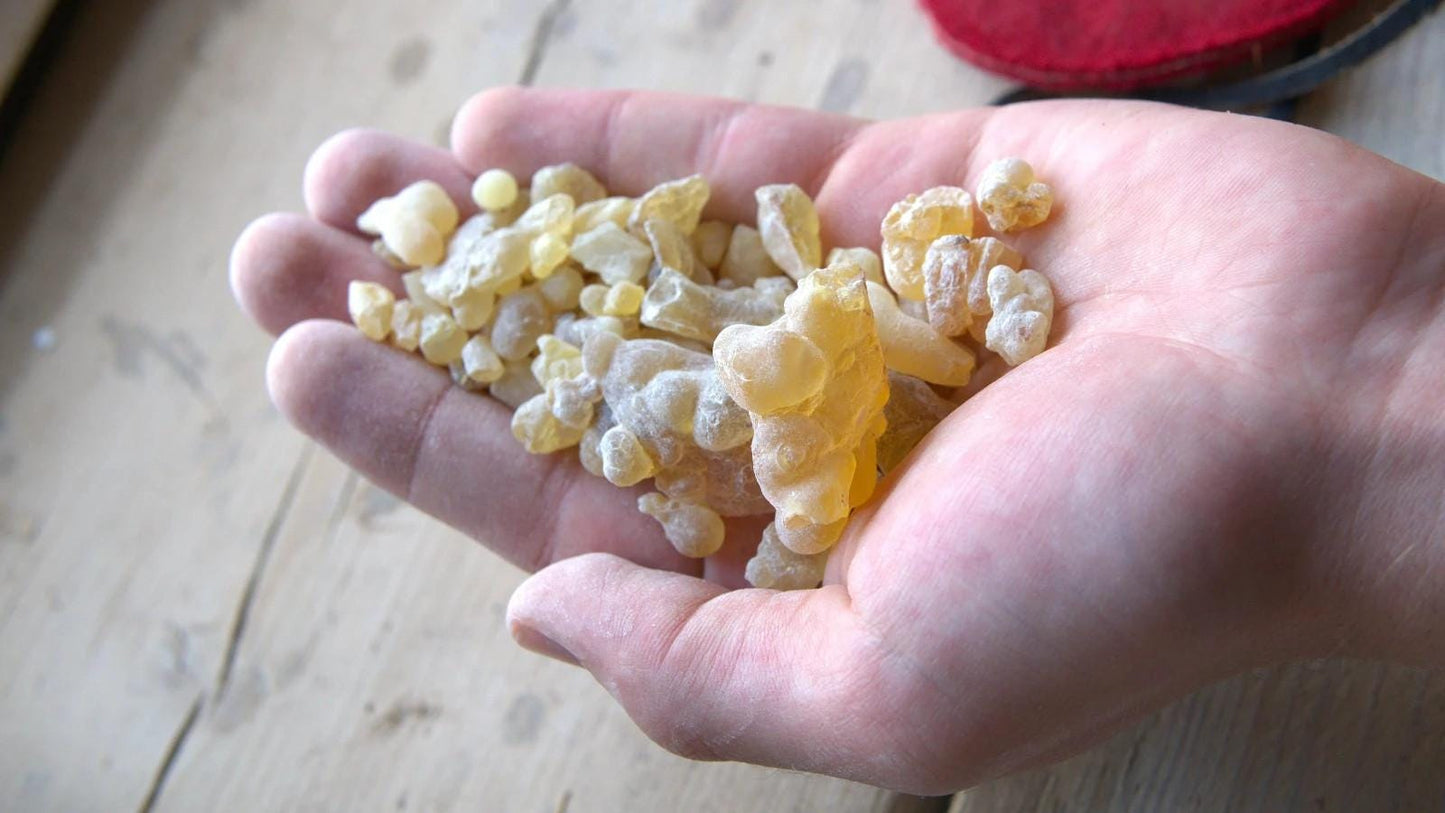 Fresh Somalian Frankincense - Uplifting, citrus incense resin - Boswellia Carterii