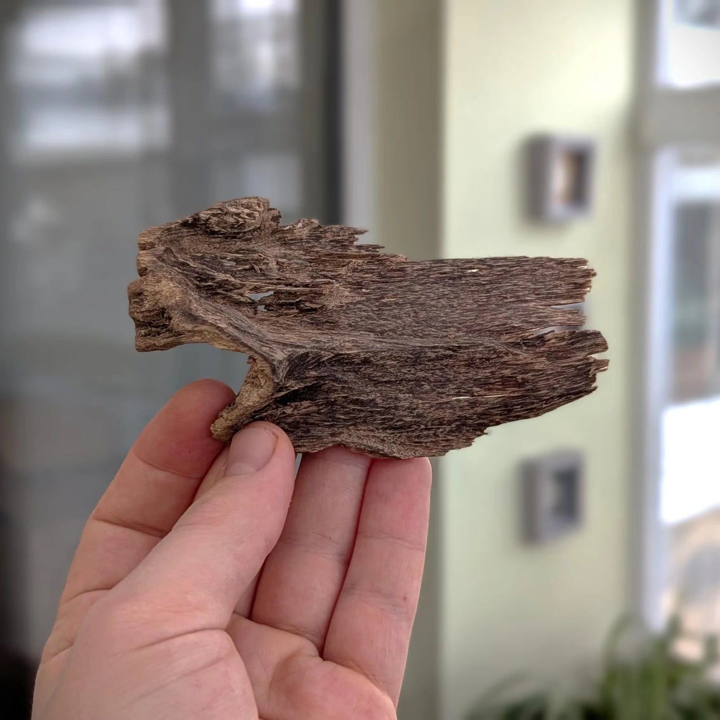 Sri Lankan Agarwood - White Blend - Walla Patta - 8.6g