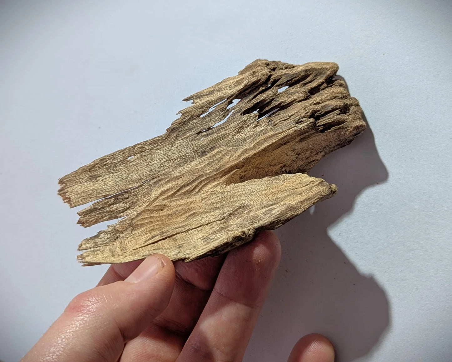 Sri Lankan Agarwood - White Blend - Walla Patta - 8.6g