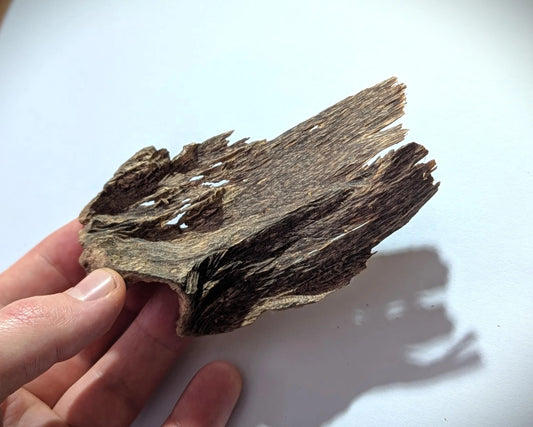 Sri Lankan Agarwood - White Blend - Walla Patta - 8.6g