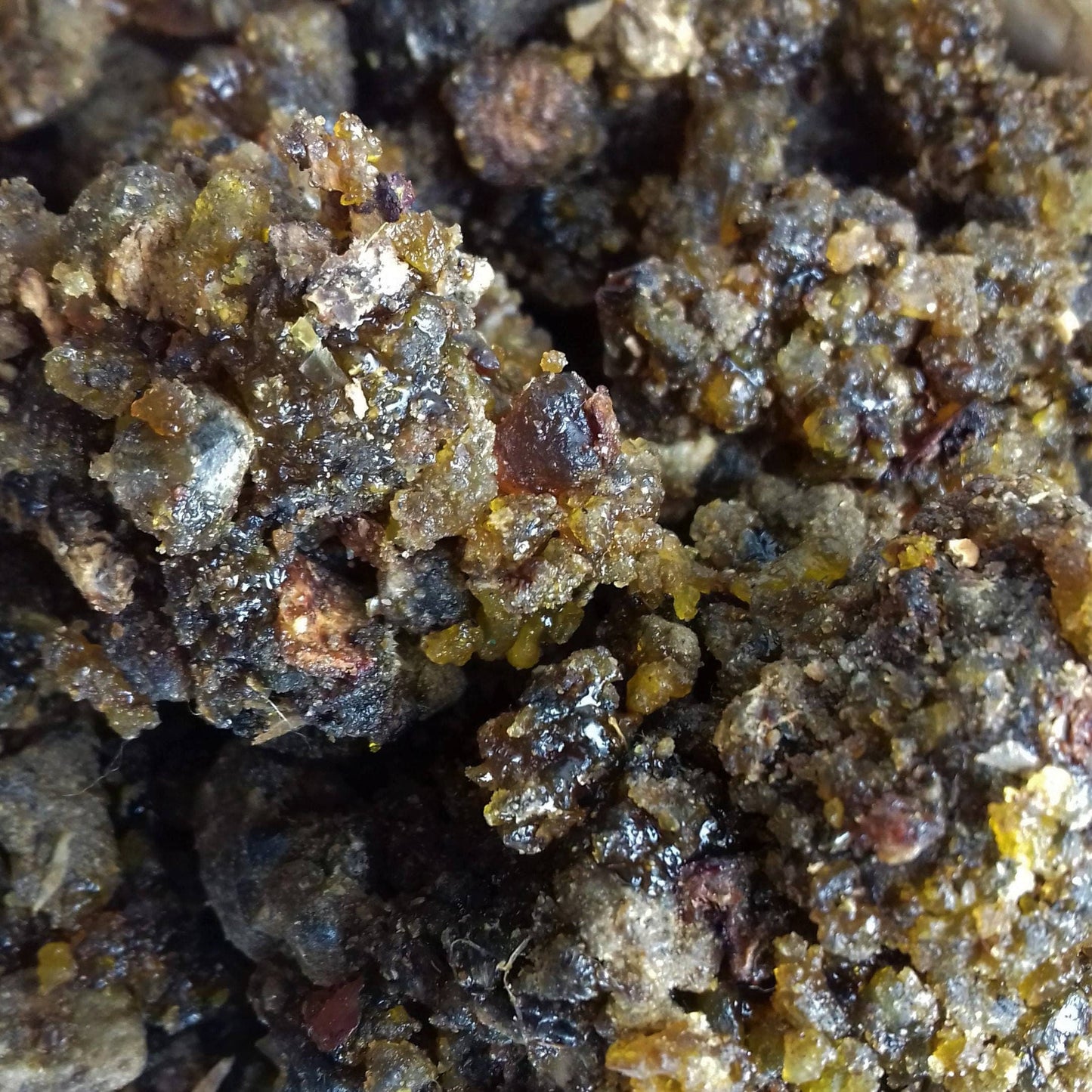 Indian Guggul Incense Resin