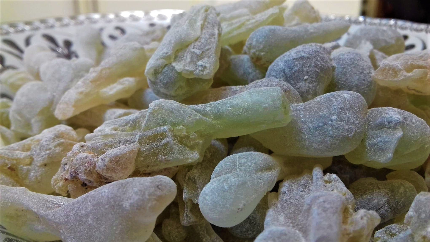 Fresh Royal Green Hojari - Large Tears - Boswellia sacra - Highest Grade Frankincense
