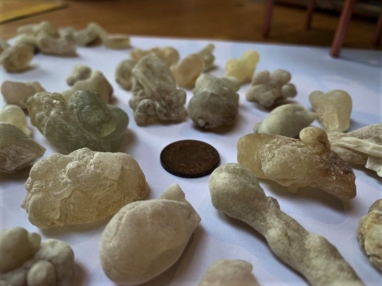 Fresh Royal Green Hojari - Large Tears - Boswellia sacra - Highest Grade Frankincense