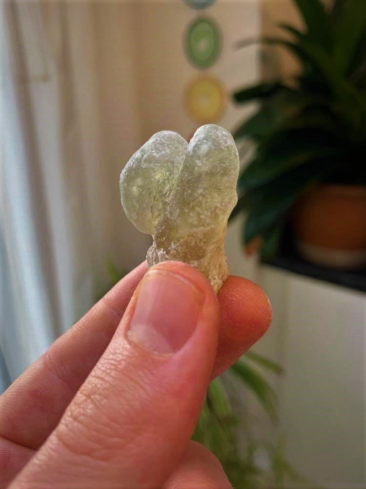 Fresh Royal Green Hojari - Large Tears - Boswellia sacra - Highest Grade Frankincense