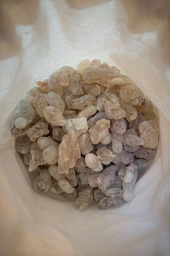 Fresh Royal Green Hojari - Large Tears - Boswellia sacra - Highest Grade Frankincense