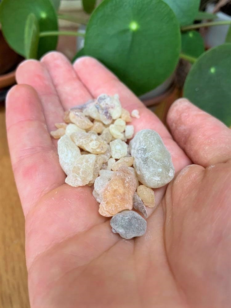Harrabi Frankincense: High Grade West African Incense Resin