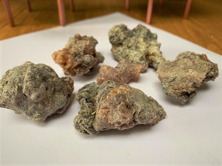 Kenyan 'Dakara' Frankincense - Boswellia neglecta