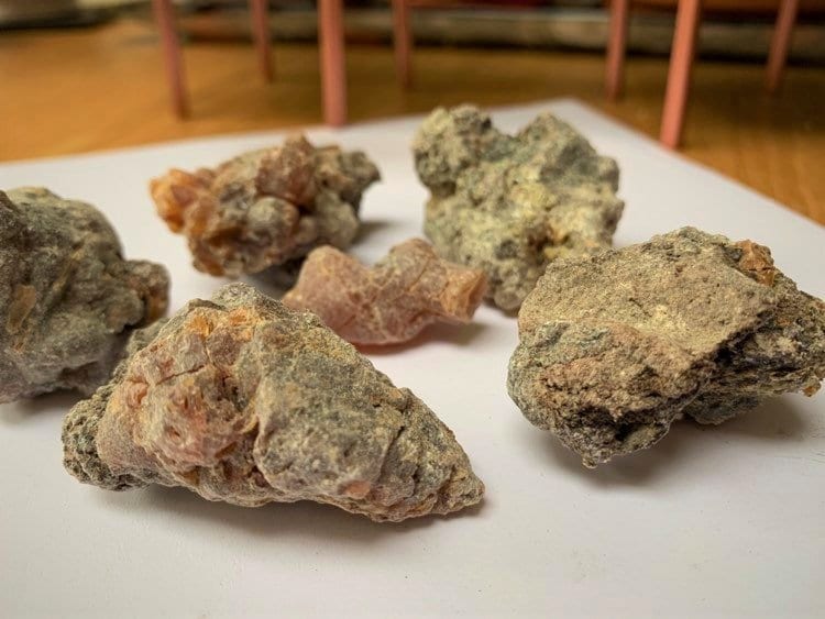 Kenyan 'Dakara' Frankincense - Boswellia neglecta