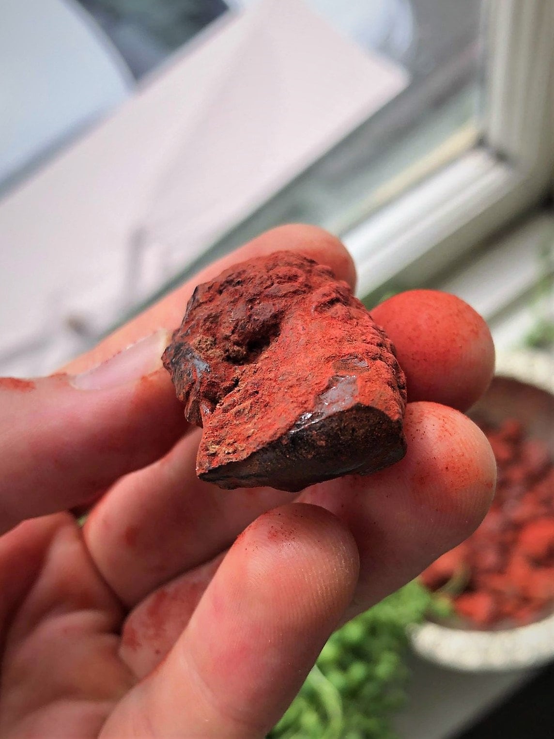 True Dragon's Blood Incense - Resin from Socotra