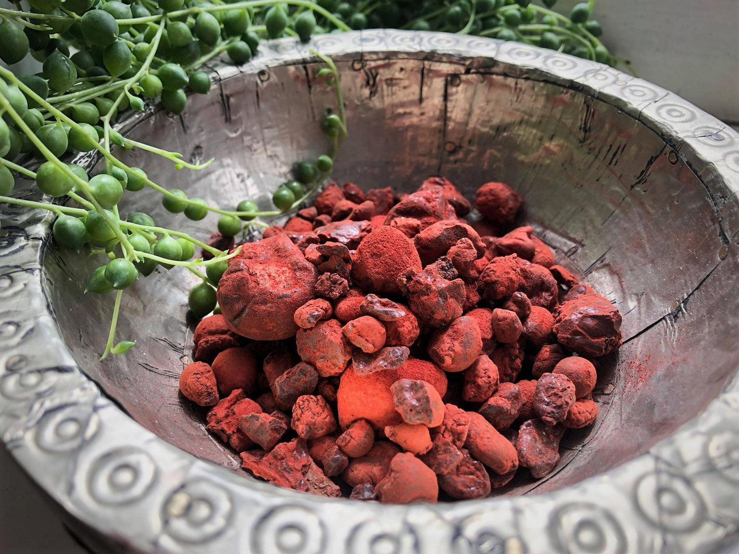 True Dragon's Blood Incense - Resin from Socotra