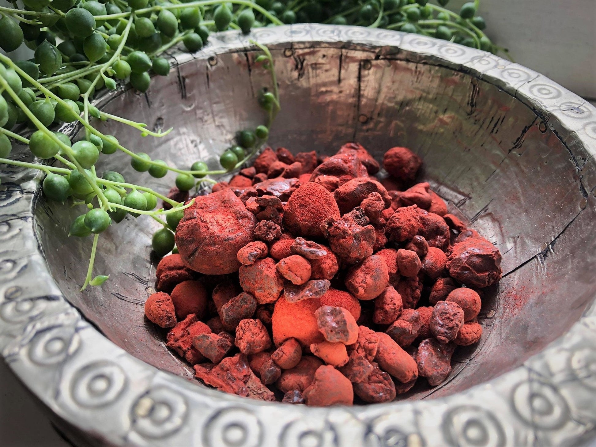 True Dragon's Blood Incense - Resin from Socotra