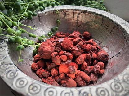 True Dragon's Blood Incense - Resin from Socotra