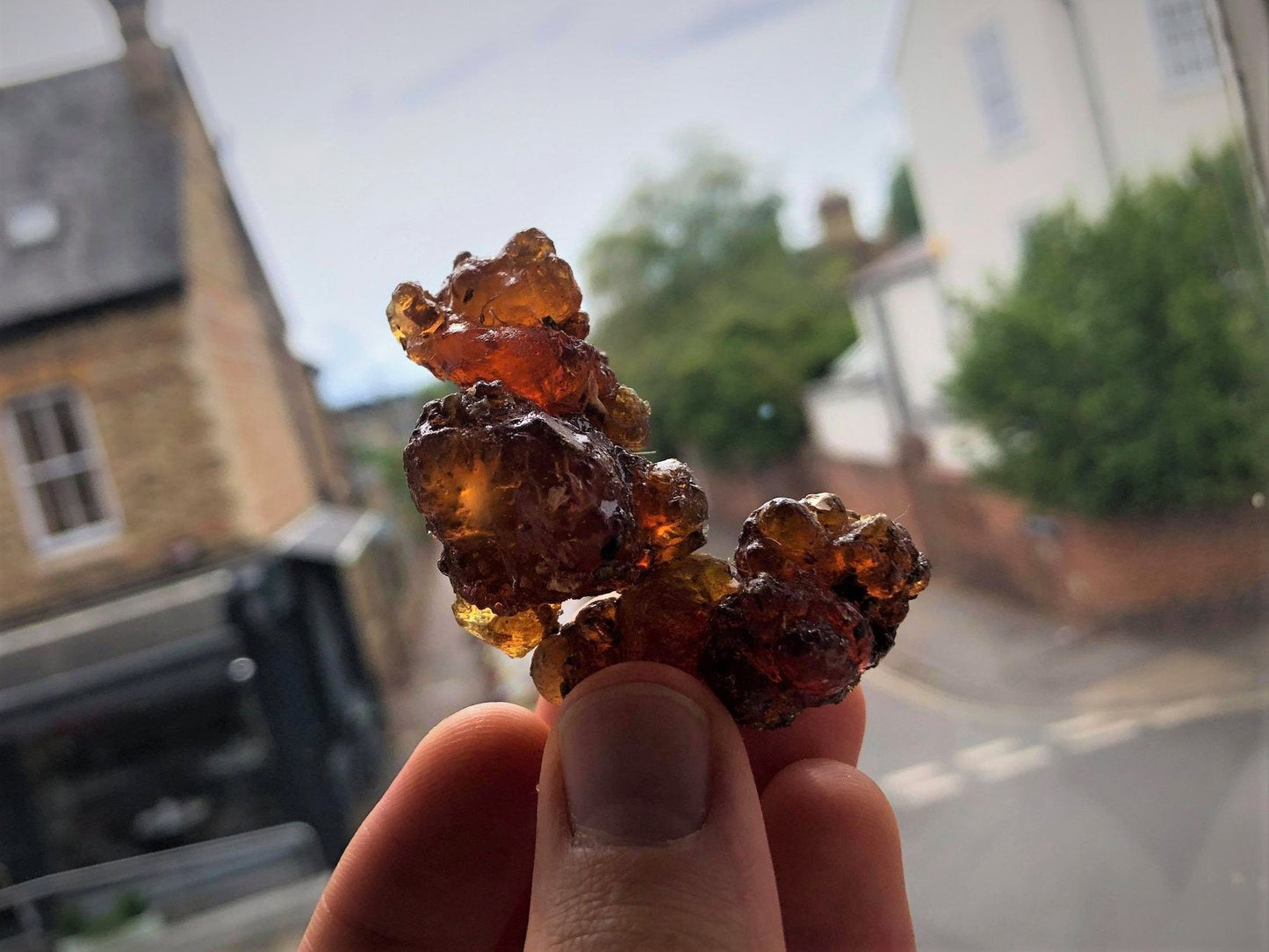 Tropical 'Kua Myrrh' from Socotra