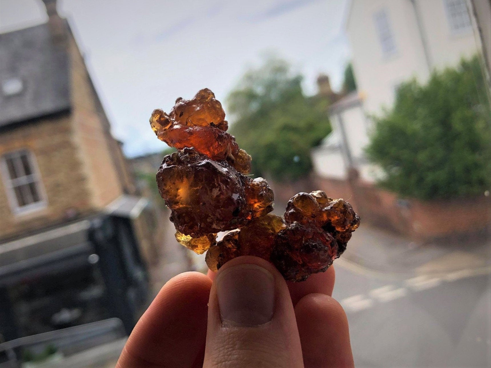Tropical 'Kua Myrrh' from Socotra