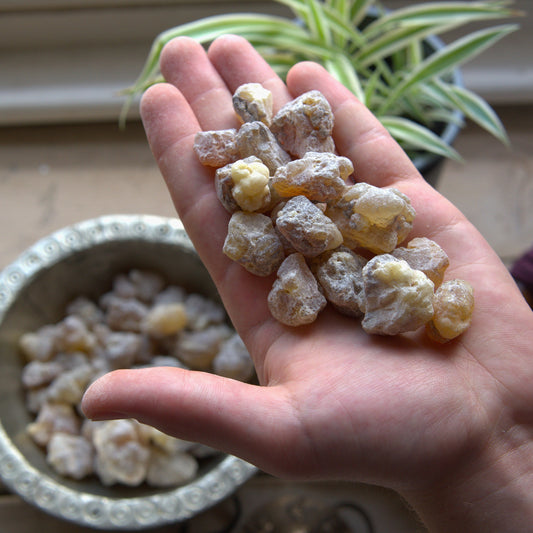 Sudanese 'Supergrade' Frankincense