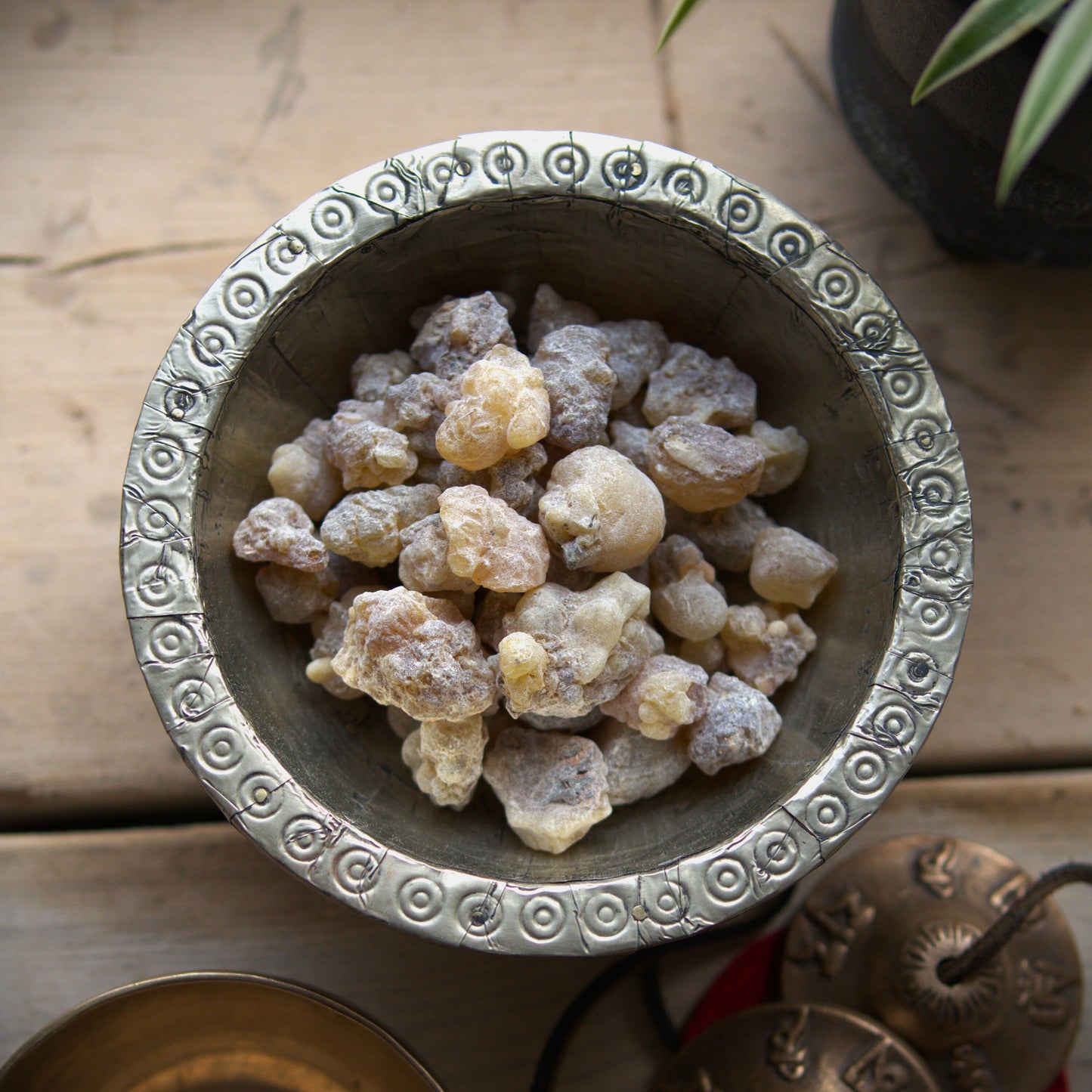 Sudanese 'Supergrade' Frankincense