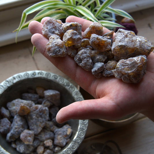 Sweet 'Mirafur' Frankincense from Ogaden