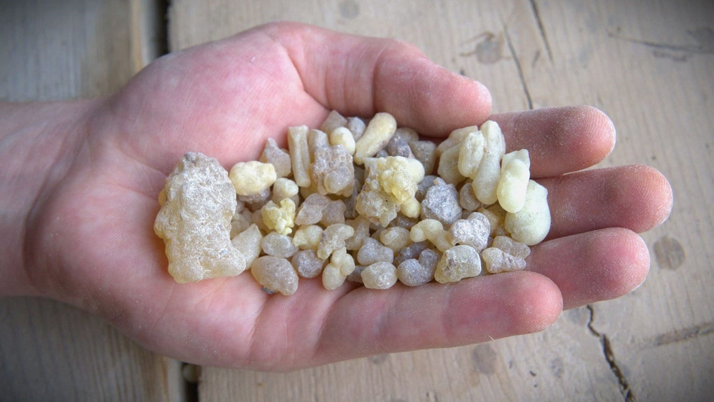 Ethiopian Frankincense - Superior quality, citrus notes