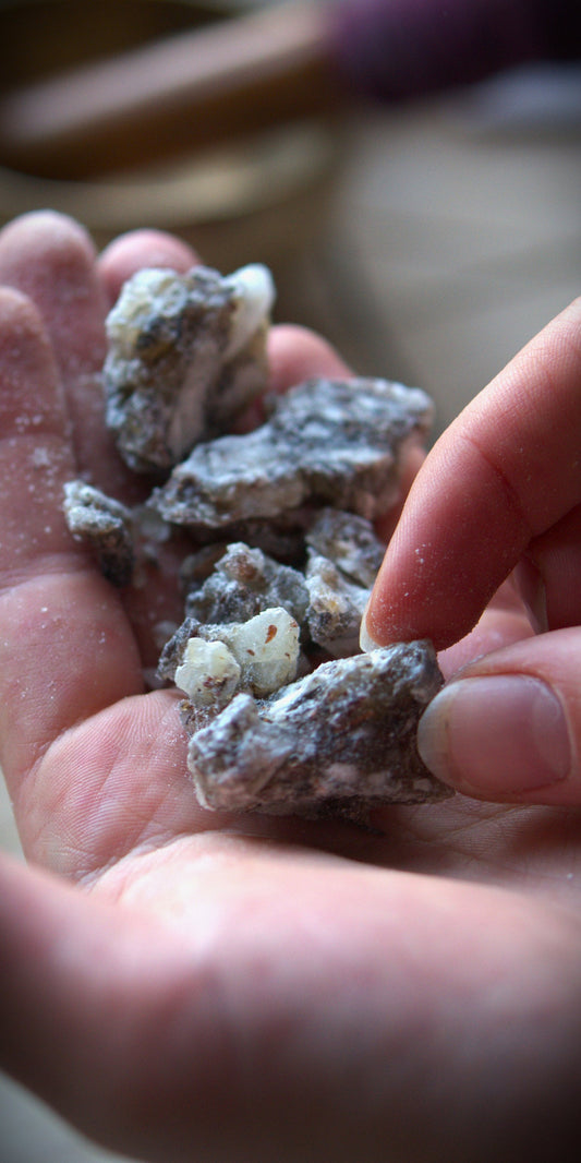 Mexican 'Copal Negro' - Incense Resin - Bursera bipinnata
