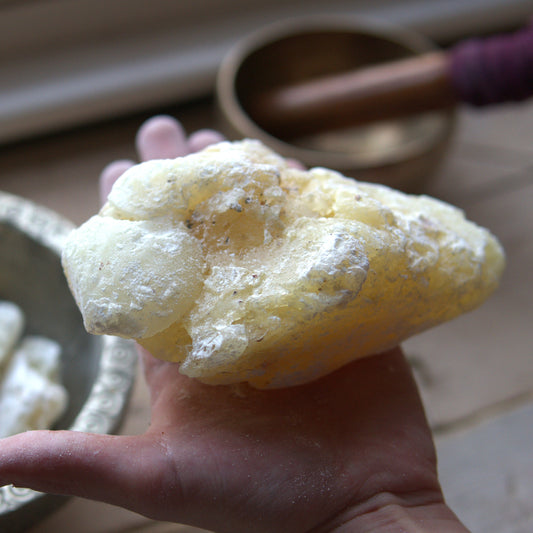 Mexican 'Copal Blanco' - Incense Resin - Bursera bipinnata