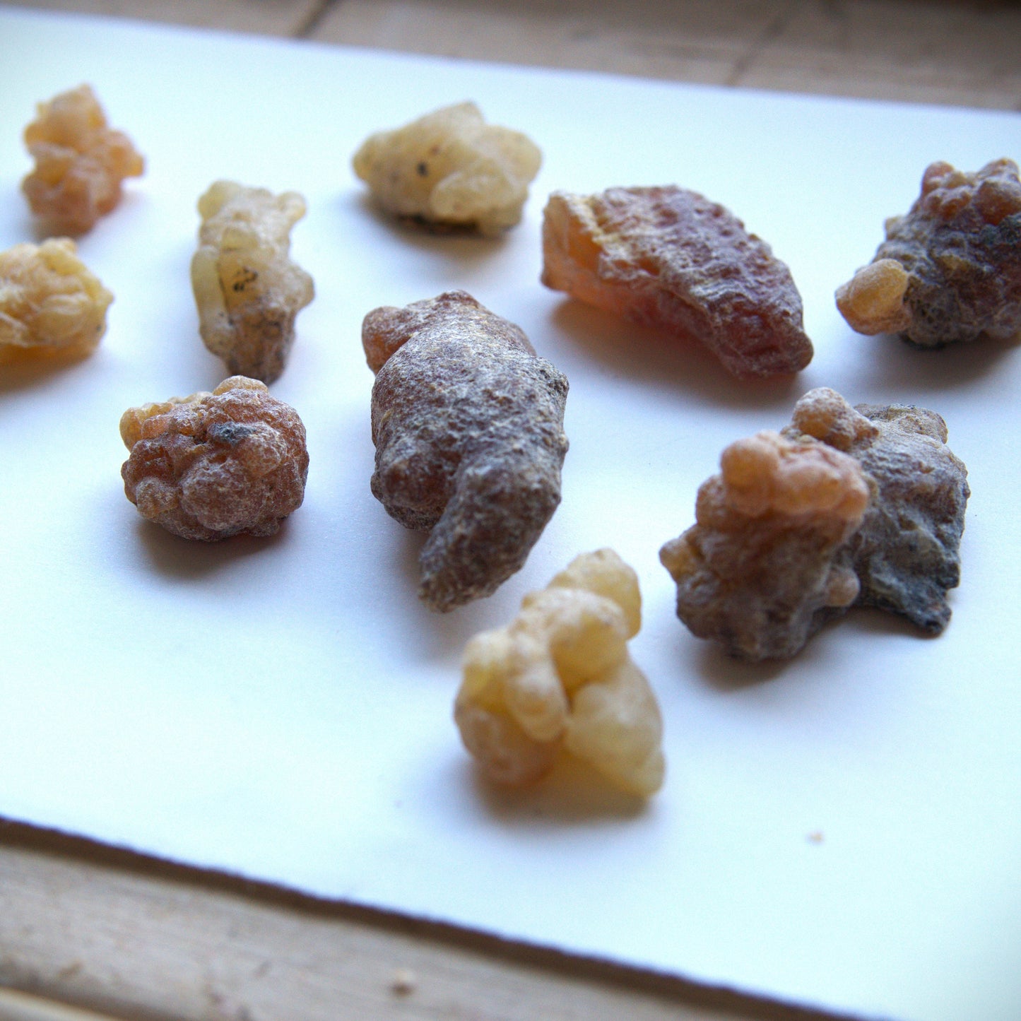 Peruvian 'Myrrh' Incense Resin - Styrax weberbaueri