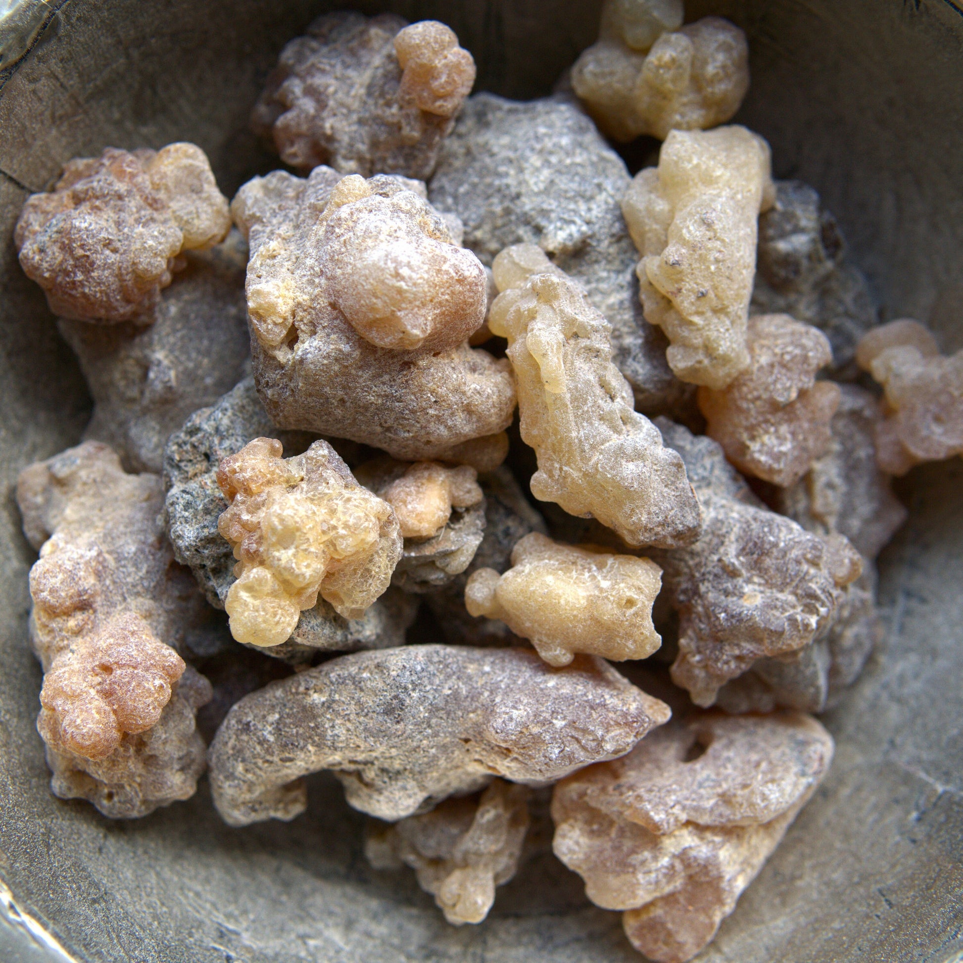 Peruvian 'Myrrh' Incense Resin - Styrax weberbaueri