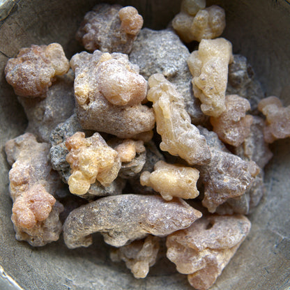 Peruvian 'Myrrh' Incense Resin - Styrax weberbaueri