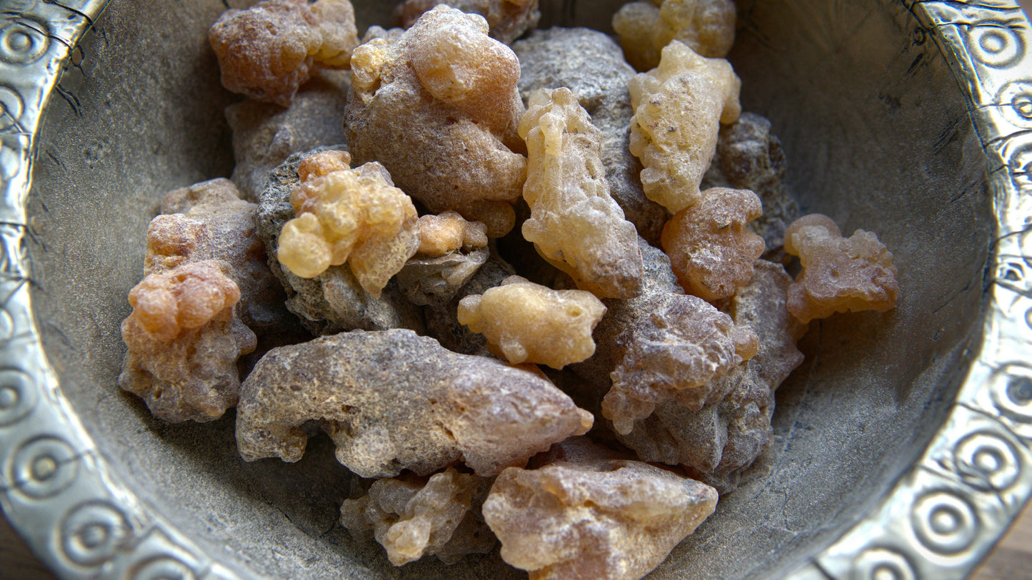 Peruvian 'Myrrh' Incense Resin - Styrax weberbaueri