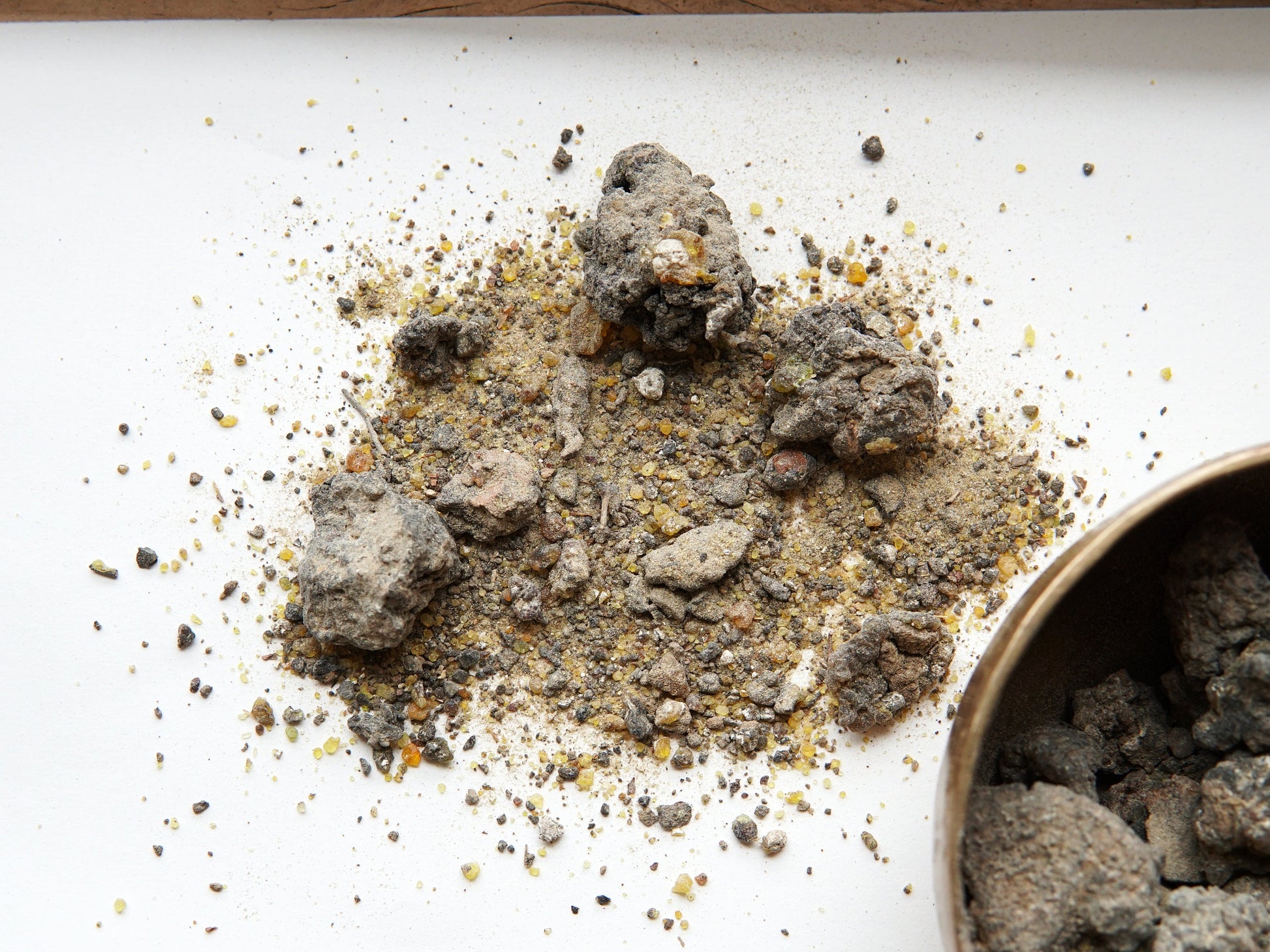 Palo Santo Resin - Divine Incense - Bursera graveolens