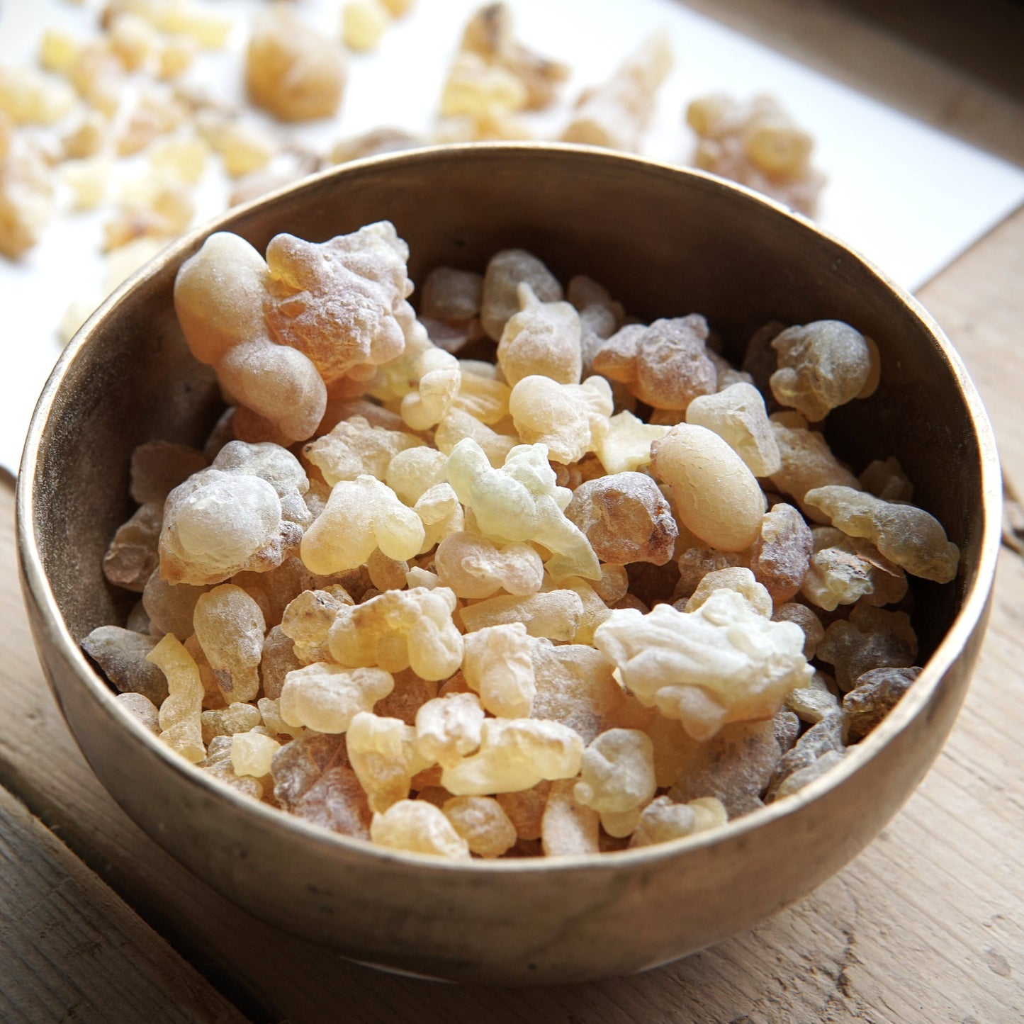Rare Hybrid Frankincense - Boswellia carterii x sacra