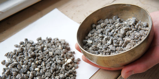 SMOKEY MALAYSIAN BENZOIN - Styrax benzoin - Incense Resin