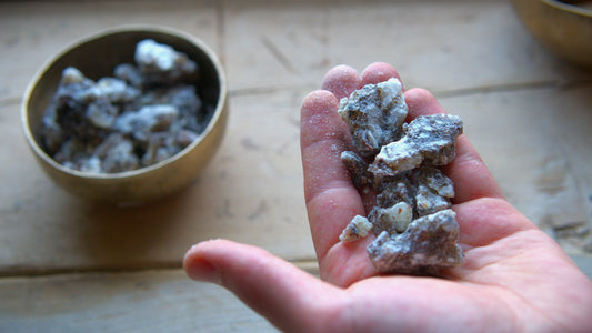 Mexican 'Copal Negro' - Incense Resin - Bursera bipinnata