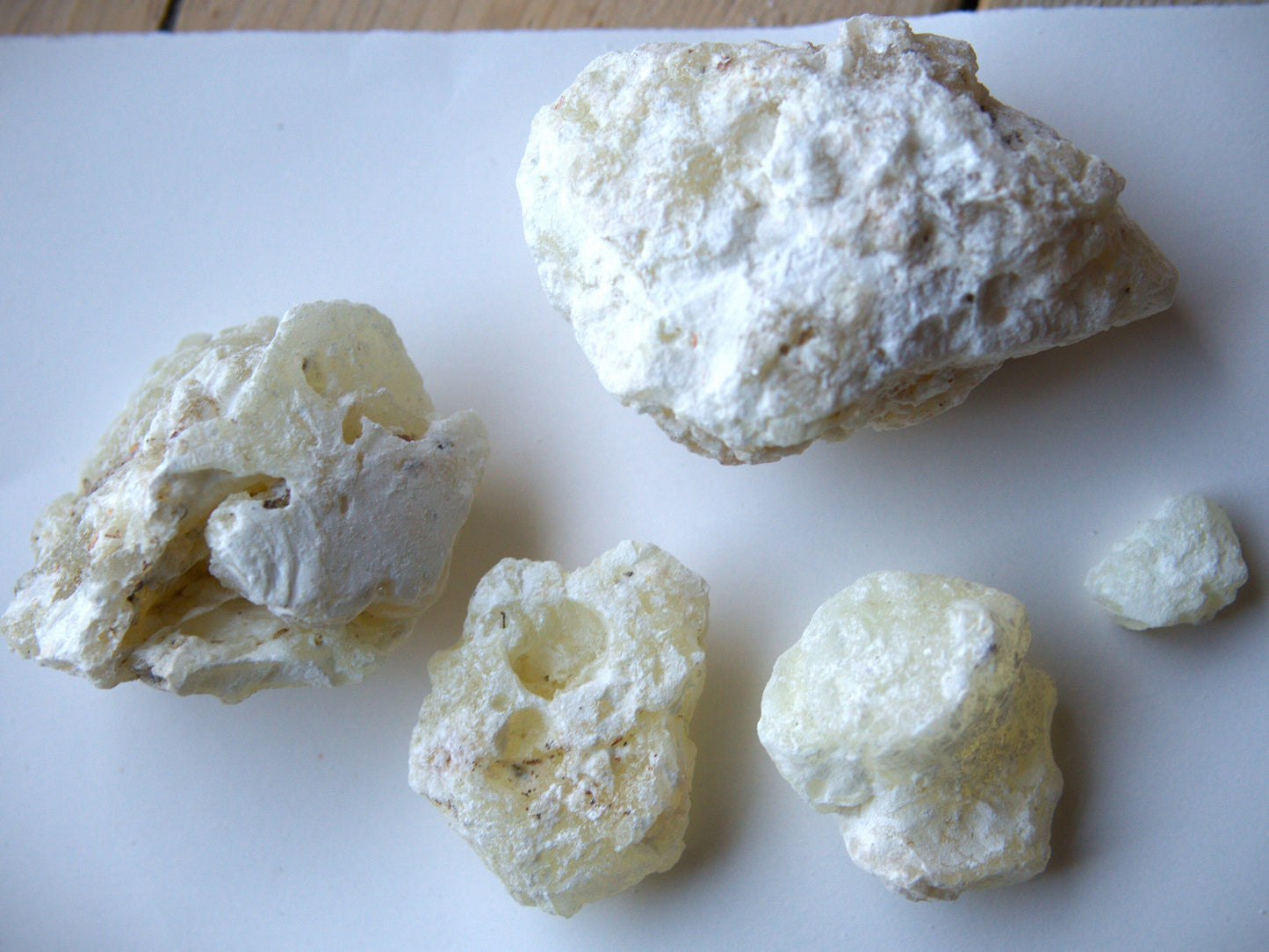 Mexican 'Copal Blanco' - Incense Resin - Bursera bipinnata