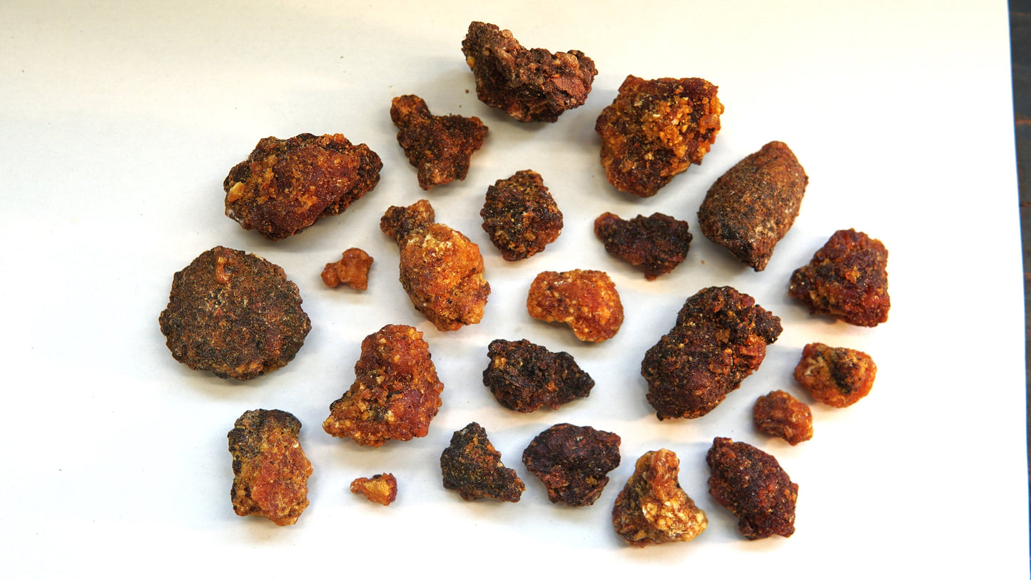 OPOPONAX HADI - Commiphora guidottii - Bitter Myrrh from Ogaden