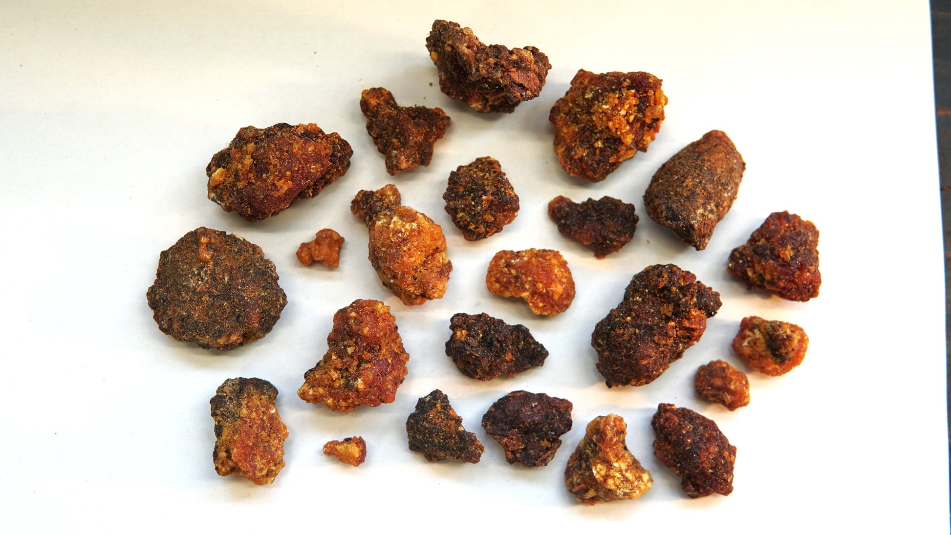 OPOPONAX HADI - Commiphora guidottii - Bitter Myrrh from Ogaden