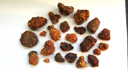 OPOPONAX HADI - Commiphora guidottii - Bitter Myrrh from Ogaden