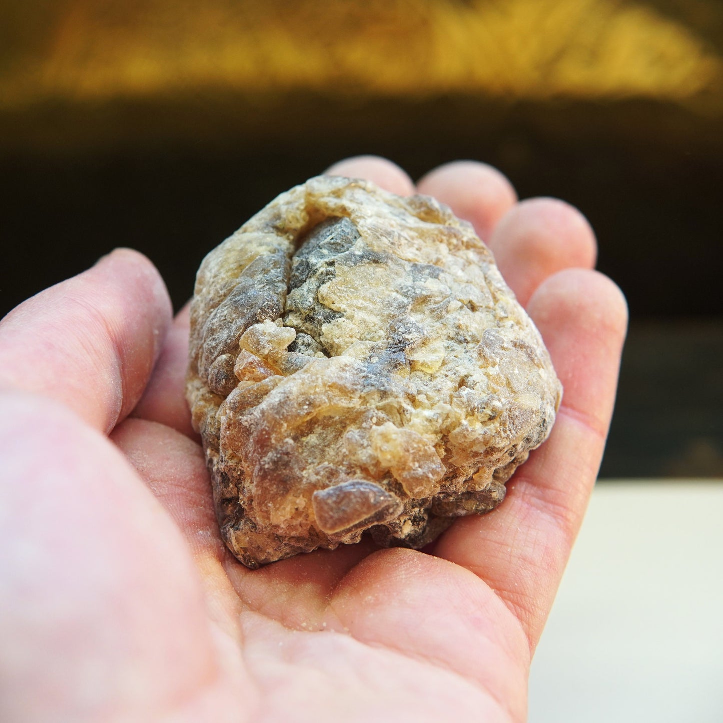 Socotran Frankincense - Boswellia dioscoridis