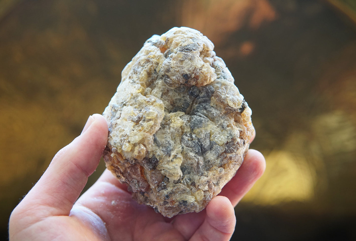 Socotran Frankincense - Boswellia dioscoridis